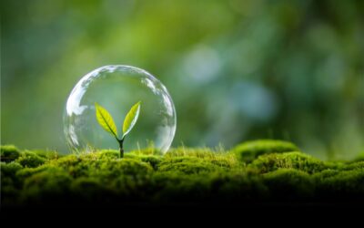 Medio ambiente: responsabilidad compartida y oportunidad de futuro
